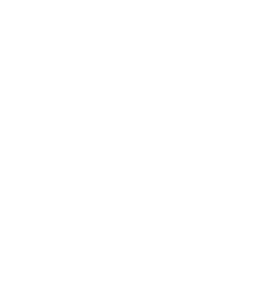logo_ampi
